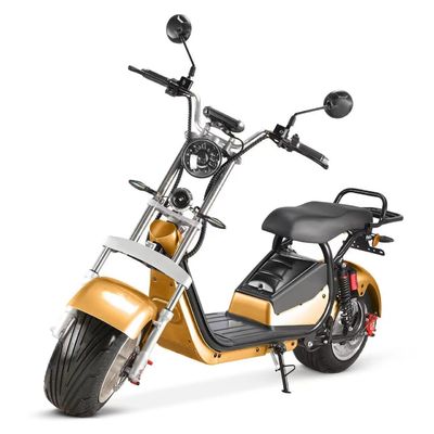 カスタマイズ サポート カラー 1500W モーター パワー 脂肪タイヤ 電気スクーター シティココ