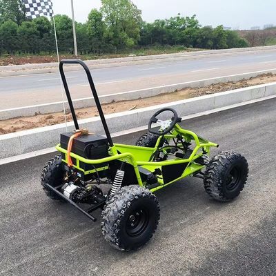 アムレートメントパーク レンタル ゴルフ バギーカート 1000W ブラシレスモーターと EEC 認証