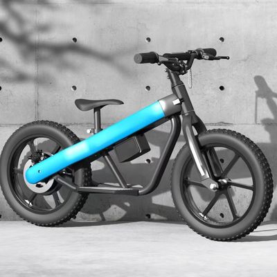 16インチの子供用電気バランスバイク 鋼枠とチタンリーム材料