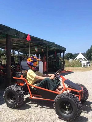 雪と砂のトラック 1000W シャフトドライブ ゴー・カート アートン モーター 電動ゴルフ バギー
