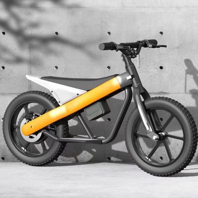 アルミ合金フォーク素材 子供の自転車 カスタマイズされたサポートされた色と色