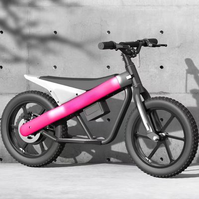 アルミ合金フォーク素材 子供の自転車 カスタマイズされたサポートされた色と色