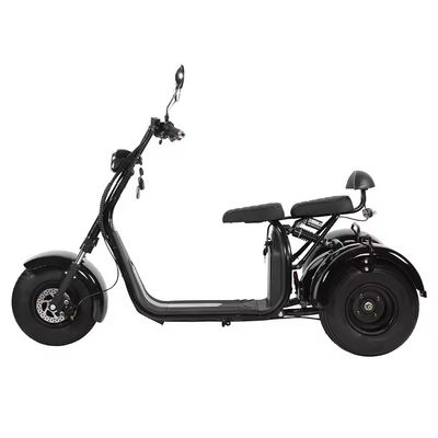 シティココ電動スクーター 2000W 1000W 1500W 大人 3輪 31-40Ah バッテリー容量