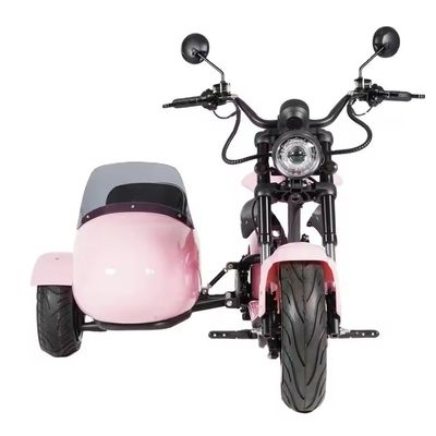 2000W 3輪脂肪タイヤ 電動貨物三輪自転車 あなたのB2Bニーズにぴったり