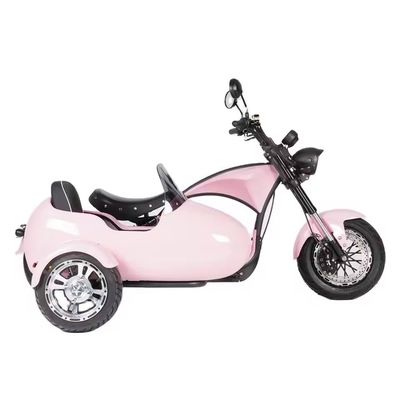 2000W 3輪脂肪タイヤ 電動貨物三輪自転車 あなたのB2Bニーズにぴったり