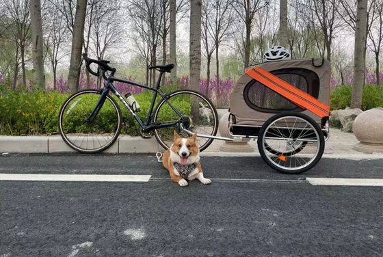 子供の小車 バイクのトレーラー ペット 屋外キャンプトレーラー フロント14インチタイヤ