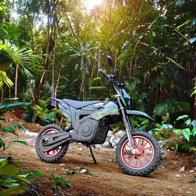 48V 電動バイク クロス 子供向け 最大速さ40-60km/h リチウム電池