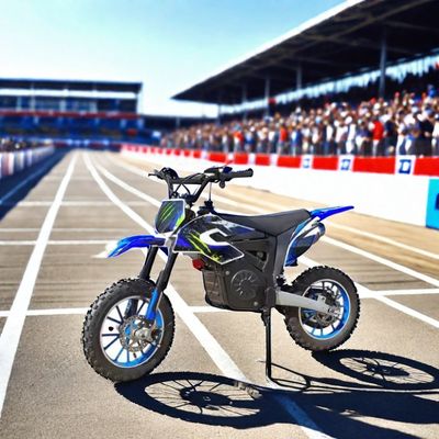 1200Wの電気ダートバイク ステッカーと最大速度 40 60km/h オフロードバイク