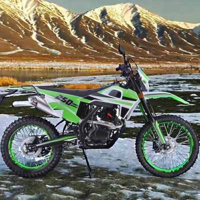 250cc エンジン カスタマイズされた色 サポートオフロード ガソリンダートバイク 大人向け