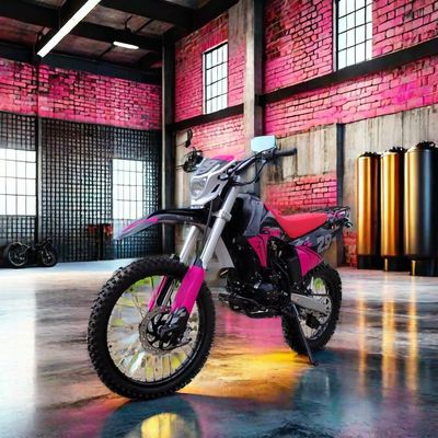250ccのモーターレーシング・ダートバイクで オフロードを次のレベルへ
