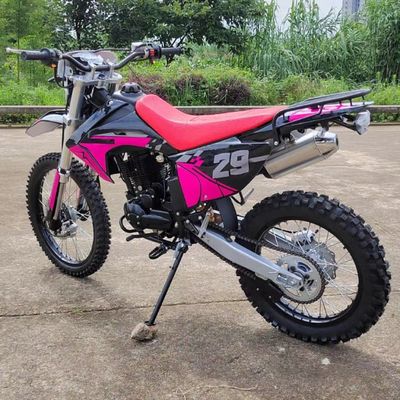 250cc電動スタートガスのパワーを体験する