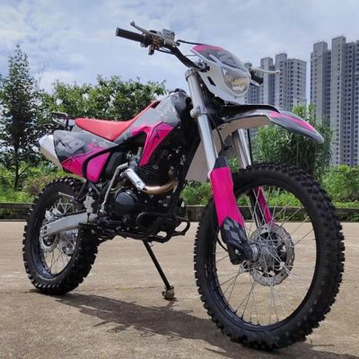 250cc電動スタートガスのパワーを体験する