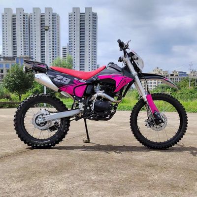250cc電動スタートガスのパワーを体験する