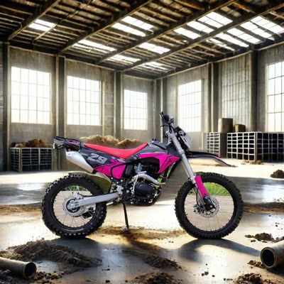 電動スタート 250cc エンドゥロダートバイク マックス 100km/h 速度 オフロード・アドベンチャーに最適