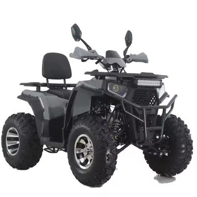 Aotong GY6 モーター 200CC/250CC 大人のための自動四駆 10INCH/12INCH 農場ATV