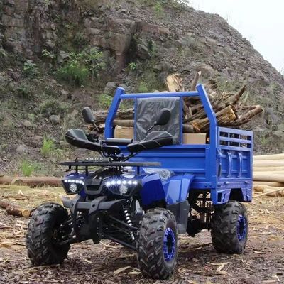 農場ATVAotong 125cc/150cc トレーラーと貨物箱 2WD 4WDオフロードATV 電圧12V