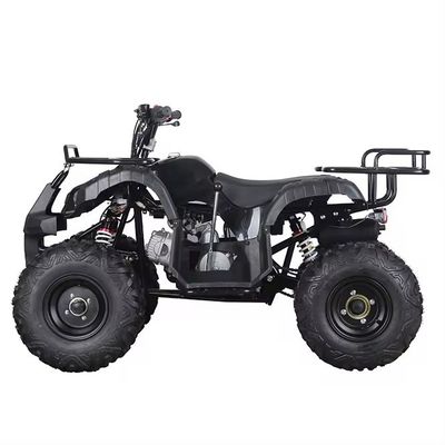110cc 125cc ATV 自動連鎖駆動 アートンのコンパクトデザイン 中国製品