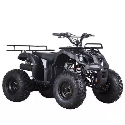 110cc 125cc ATV 自動連鎖駆動 アートンのコンパクトデザイン 中国製品
