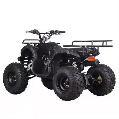 110cc 125cc ATV 自動連鎖駆動 アートンのコンパクトデザイン 中国製品