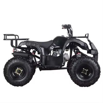 110cc 125cc ATV 自動連鎖駆動 アートンのコンパクトデザイン 中国製品