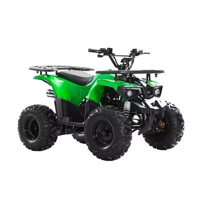 110cc 125cc チェーンドライブ ATV CE証明書 最大速度 50-75Km/h 材料