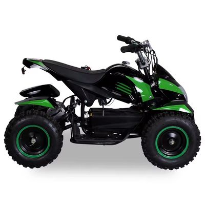 800w 1000w モーターバイク 36v ミニビーチバギー 四駆 500W 電気四駆 ATV 子供向け