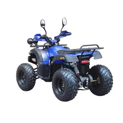 12V 電圧 成人四駆 ガソリン 150cc 四輪四駆 ブラシレスモーター