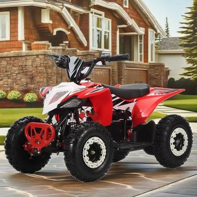 36V キッズクワッド 電動 1000w ATV 125cc 6インチ オートマティッククワッド 子供用 2WD