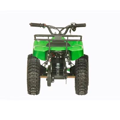 電動四駆Aotong 1000w48V20Ah 2WD運転タイプと5-7h充電時間