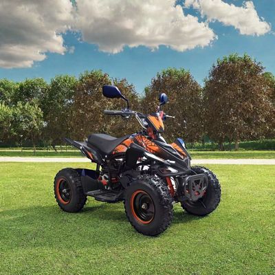 子供用50cc4ホイラークワッドATV CE認証とミニ4輪バイク49cc