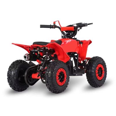 運転タイプ 2WD 2024 49cc 50cc 2ストローク ミニクワッドバイク ガソリン駆動ATV CE付きの子供向け