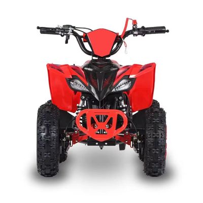 運転タイプ 2WD 2024 49cc 50cc 2ストローク ミニクワッドバイク ガソリン駆動ATV CE付きの子供向け