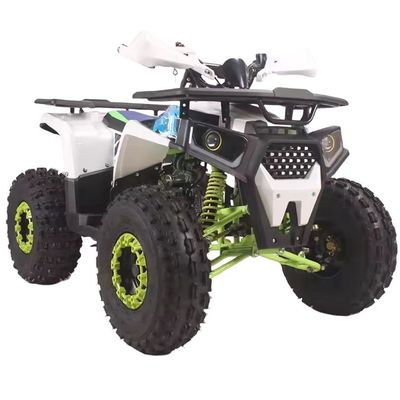 110cc 125cc クワッドバイク 4ホイラー アドベンチャーATV 4x2 大人のための運転 操作が簡単