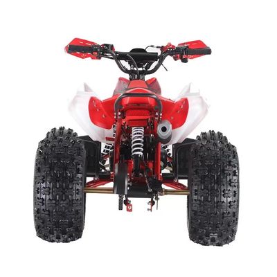 110cc/125CC ガソリンパワー フロントドラムとバックディスクブレーキシステム付きの四輪四輪バイク