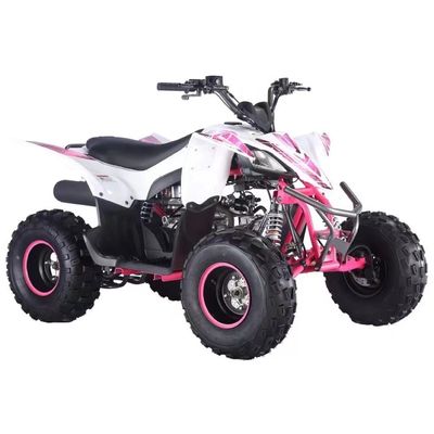 前盤後盤ブレーキシステム 125cc/110cc キッズATVバギーの安全を確保