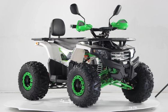 2WD 運転タイプ アートンモーター 1000W 電動 サイドバイサイド ATV 60V 20AH バッテリー