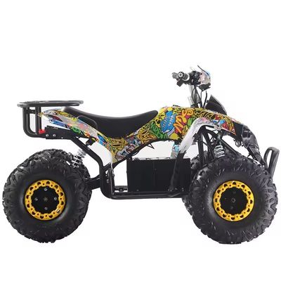 カスタマイズされたカラー 1000W/1500W ATV クアッド Ft ディスク Rr ディスクブレーキ
