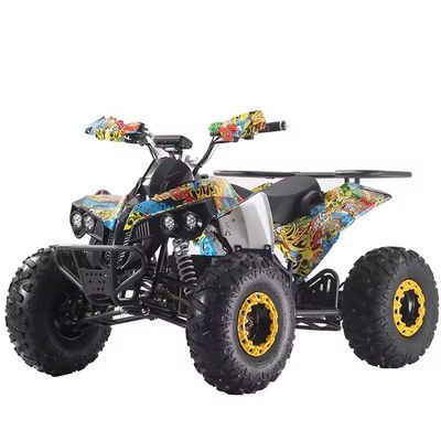 カスタマイズされたカラー 1000W/1500W ATV クアッド Ft ディスク Rr ディスクブレーキ
