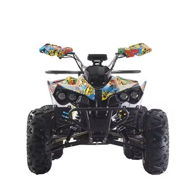 カスタマイズされたカラー 1000W/1500W ATV クアッド Ft ディスク Rr ディスクブレーキ
