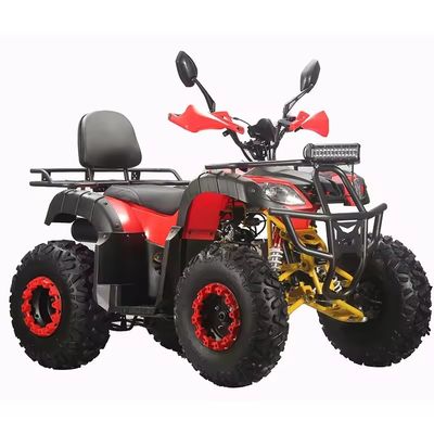 1790*1100*1100MM サイズ 農場用ATV ガソリンバイク 大人のための自動トランスミッションタイプ