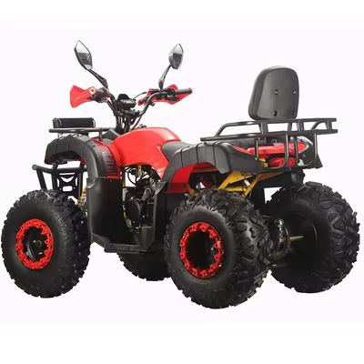 1790*1100*1100MM サイズ 農場用ATV ガソリンバイク 大人のための自動トランスミッションタイプ