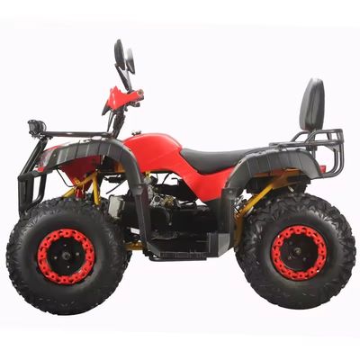 1790*1100*1100MM サイズ 農場用ATV ガソリンバイク 大人のための自動トランスミッションタイプ