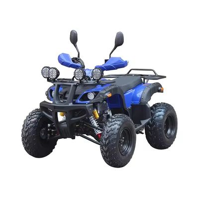 最大トルク Nm ≤20Nm 四輪オフロード ATV モーター 250cc ホイールベース 600-1000mm