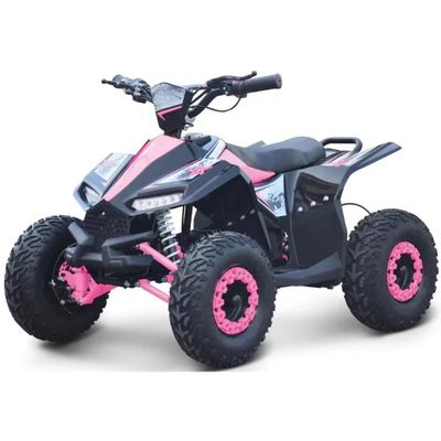最大トルク 40-60Nm 1000W 電気サイドバイサイドATV 卓越した性能