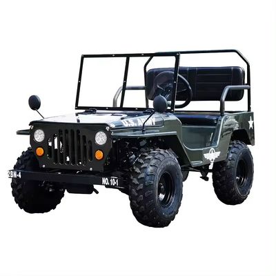 キッズ・ゴーカート 最大トルク 60-80Nm 48V ストレージ ミニ・ゴーカート 電動・デュン・バギー
