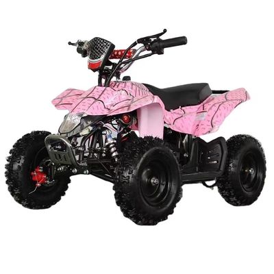 4.10-6/13X5.0-6 タイヤオトンモーター 800w/1000w 電気パワー スポーツクワッドバイク 子供向け