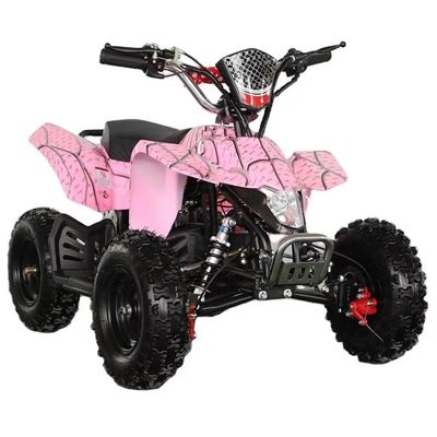 4.10-6/13X5.0-6 タイヤオトンモーター 800w/1000w 電気パワー スポーツクワッドバイク 子供向け