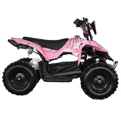 4.10-6/13X5.0-6 タイヤオトンモーター 800w/1000w 電気パワー スポーツクワッドバイク 子供向け