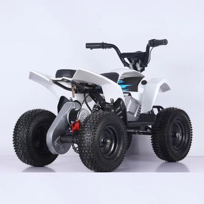 350W ミニ電気ATV 四輪自転車 1000W 36V 12Ah クワッドバイク 5-7h充電時間