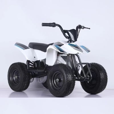 350W ミニ電気ATV 四輪自転車 1000W 36V 12Ah クワッドバイク 5-7h充電時間